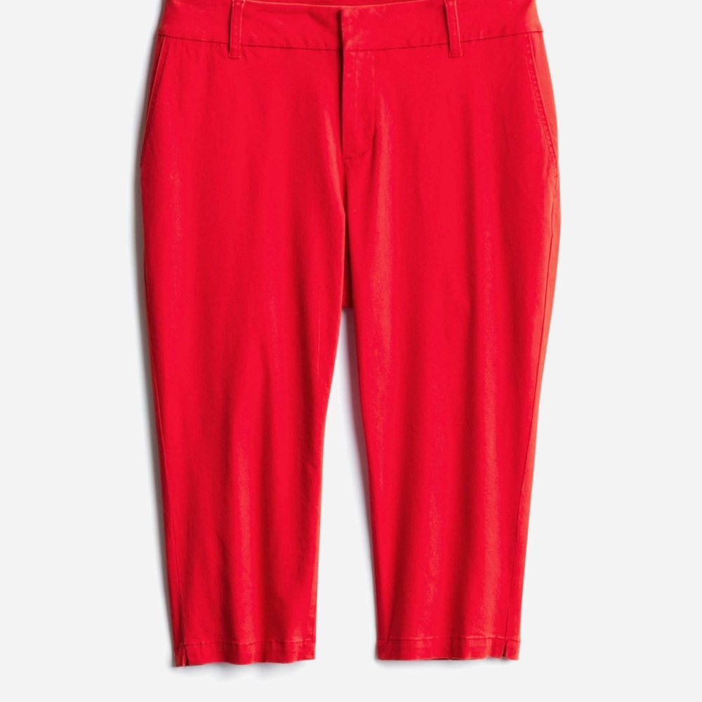 Market & Spruce Capri Pants